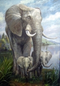 Animals Paintings
